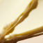 Crème visage 'Revê de Miel Ultra-Réconfortant' - 50 ml