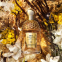 Eau de parfum 'Aqua Allegoria Forte Bosca Vanilla' - 125 ml