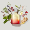 Eau de parfum 'Original Santal' - 50 ml
