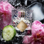 'Roses On Ice' Eau de parfum - 50 ml