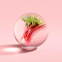 'Delicious Rhubarb & Rose' Schilfrohr-Diffusor - 150 ml