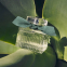 'Rose Naturelle Intense' Eau de parfum - 50 ml