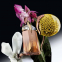 'Alien Goddess Supra Florale' Eau de parfum - 60 ml