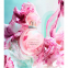Coffret de parfum 'Rose Goldea Blossom Delight' - 2 Pièces