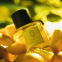 'Path of Lemons' Eau De Parfum - 100 ml