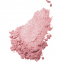 'All-Over Color' Highlighter Powder - Rose Radiance 1.5 g