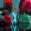 'La Belle Paradise Garden' Eau De Parfum - 50 ml