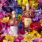 Eau de parfum 'Aqua Allegoria Flora Bloom Forte' - 75 ml