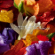 Eau de Parfum - Recharge 'Aqua Allegoria Flora Bloom Forte' - 200 ml