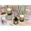 'Green Apple & Lime' Scented Candle - 60 g