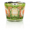'Tomorrowland Max 24' Scented Candle - 5.2 Kg