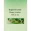 'Pear Glace' Body Lotion - 236 ml