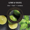 Recharge de parfum pour lampe 'Lime & Basil' - 250 ml