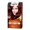 Teinture pour cheveux 'Palette Intensive' - L88 Bright Bordeaux