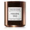 'Fedora 1942' Scented Candle - 300 g