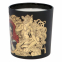 Men's 'The Wild Passion' Candle - 250 g
