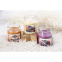 'Baby It'S Cold Outside' Candle Set - 3 Units of 85 g