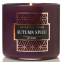 'Everyday Luxe' Duftende Kerze - Autumn Spice Purple 411 g
