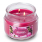'Terrace Jar' Scented Candle - Wildberry Rose Petals 255 g