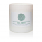 'Basil & Mint' Scented Candle - 453 g