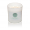 'Basil & Mint' Scented Candle - 453 g