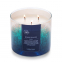 'Miami Sands' Scented Candle - 411 g