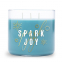 'Spark Joy' Duftende Kerze - 411 g