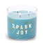 'Spark Joy' Scented Candle - 411 g