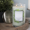 'Eucalyptus Mint' Scented Candle - 538 g