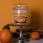 'Terrace Jar' Scented Candle - Mandarin Cypress 255 g