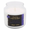 'Honey Patchouly' Scented Candle - 396 g