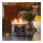 'Gentleman's Collection' Scented Candle - Leather & Musk Noir 396 g
