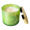 'Fresh Anjou' Scented Candle - 411 g