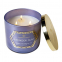 'Everyday Luxe' Scented Candle - Lavender Mint 411 g