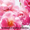 Eau de toilette 'Miss Dior Rose N'Roses' - 150 ml