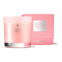 'Rhubarb & Rose' Scented Candle - 480 g