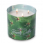 'Desert Prickly Cactus' Scented Candle - 411 g