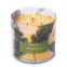 'Tropic Cabana Leaf' Scented Candle - 411 g