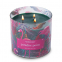 'Tropic Paradise Point' Scented Candle - 411 g