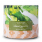 'Tropic Island Green' Scented Candle - 411 g