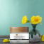 'Evening Primrose & Aloe Vera' Face & Neck Cream - 50 ml