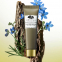 'Plantscription™ Retinol Night Moisturizer with Alpine Flower' Nachtcreme - 30 ml