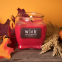 'Apple Gingerbread' Scented Candle - 425 g