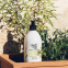 Savon liquide 'De Provence Surgras' - Verveine Agrumes 500 ml
