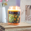 'Orange Grove' Scented Candle - 565 g