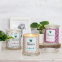Scented Candle - 250 g