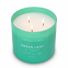 'Green Leaf' Scented Candle - 411 g