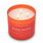 'Blood Orange Basil' Scented Candle - 411 g