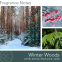 'Winter Woods' Scented Candle - 311 g