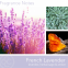 Bougie parfumée 'French Lavender' - 311 g